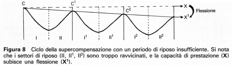 grafico2